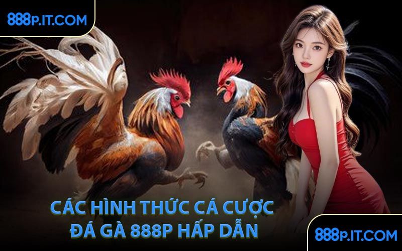 Các Hình Thức Cá Cược Đá Gà 888P Hấp Dẫn