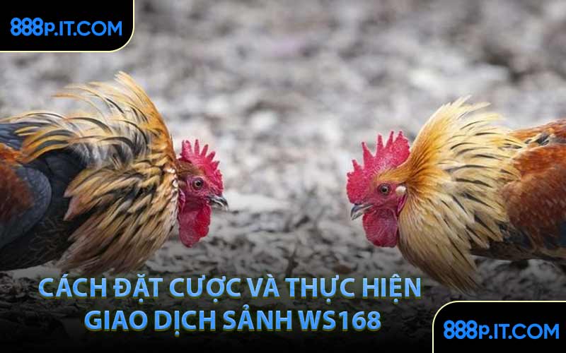 Cách Đặt Cược và Thực Hiện Giao Dịch Sảnh WS168