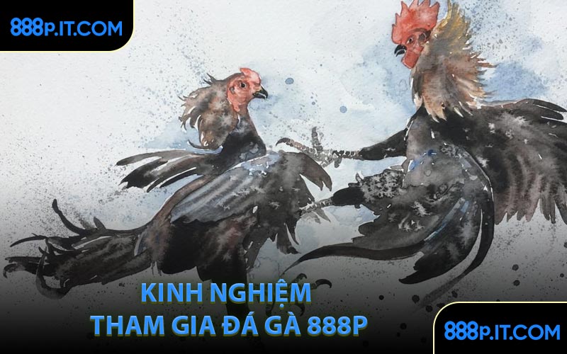 Kinh Nghiệm Tham Gia Đá Gà 888P
